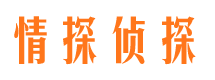 黄石找人公司